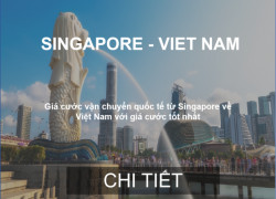Giá Cước Vận Chuyển Hàng Hóa Từ Singapore Về Việt Nam