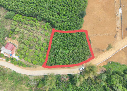 MẢNH ĐẤT NGHỈ DƯỠNG THÔN LIÊN BU, BA VÌ, HÀ NỘI.