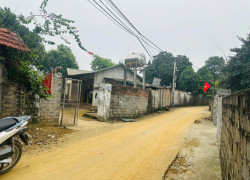 Hàng mới - Nguồn F0 dân cắt bán bớt 1 phần thôn Ké Mới, Tản Lĩnh, Ba Vì, Hà Nội.