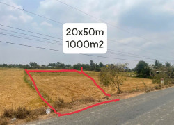 CHÍNH CHỦ BÁN 1000m2 ĐẤT THỔ CƯ – GIÁ TỐT TẠI LONG AN
