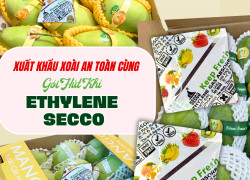 Làm thế nào để giữ Xoài tươi ngon suốt 30 ngày vận chuyển?