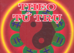 Tứ Trụ trong bát tự là gì