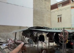 ĐẤT ĐẸP GÒ VẤP P16 - KHU ĐỒNG BỘ CAO TẦNG XÂY MỚI