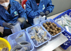 Shop Nước Sâm Cô Em tuyển LĐPT làm tại Thủ Đức lãnh lương tuần