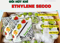 Gói hút khí Ethylene Secco 5g – Bí quyết giữ Chuối xanh lâu, không thâm vỏ