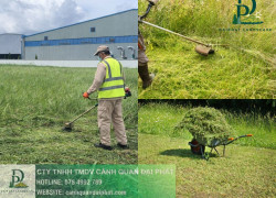 Dịch Vụ Cắt Cỏ, Cưa Cây KCN Long Khánh Đồng Nai Chuyên Nghiệp – Giá Tốt