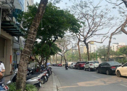 CẦU GIẤY – LÔ ĐẤT 230M² MẶT TIỀN 15M – HÀNG HIẾM “KHÔNG CÓ LẦN 2” – GIÁ CHẠM ĐÁY KHU VỰC