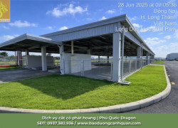 Cắt Cỏ Phát Hoang Giá Rẻ Tại Đồng Nai, TP.HCM