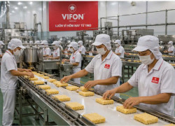 LAO ĐỘNG PHỔ THÔNG / CÔNG NHÂN SẢN XUẤT