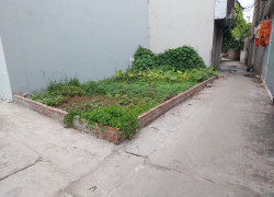 🌿 ĐẤT LÔ GÓC GẦN HỒ – KHÔNG GIAN SỐNG ĐẸP ĐỨC THƯỢNG