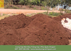 Cắt Cỏ Phát Hoang Giá Đất Màu Trồng Cây Chất Lượng Tại Đồng Nai & TP.HCMTại Đồng Nai, TP.HCM