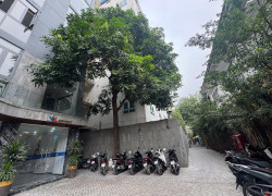 CƠ HỘI SỞ HỮU BIỆT THỰ ĐẤT RỘNG QUẬN 3 – TRẦN QUỐC TOẢN
