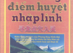 Tầm long điểm huyệt