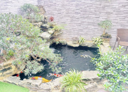 HÀNG HIẾM BIỆT THỰ VƯỜN ĐÀO - TINH HOA GIỚI THƯỢNG LƯU - TÂY HỒ