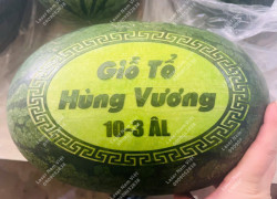 Dịch vụ khắc dưa lễ Tổ Hùng Vương