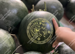 Địa chỉ khắc dưa hấu đẹp TPHCM