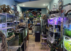 Bán Nhà Đường Điện Biên Phủ Đà Nẵng 3 Tầng, điện tích đất 96m², Vị Trí Kinh Doanh Tốt. Chính chủ