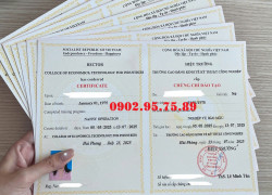 Chứng chỉ bảo mẫu cấp tốc(Ưu đãi lớn 30/4 chỉ còn 2.000.000đ)