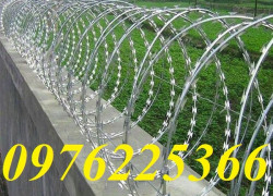 Dây kẽm gai chống trộm đường kính D30, D45, D50, D60, D80