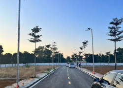 Chuyên gia về đâu, tiền về đó. 
Em đang có hơn 800m2 đất trong khu đô thị Phú Cát , mua xây biệt thự hoặc mua đầu tư