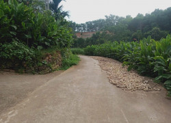 Chỉ với chưa đầy 10 tỷ có ngay lô đất thôn Sổ, Minh Quang, Ba Vì, Hà Nội. Nay là xã Ba Vì mới