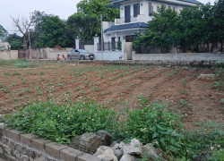 Duy nhất còn sót lại lô đất 230m , tại Phú Cát , sẵn sổ đỏ , giá chỉ 2 tỷ