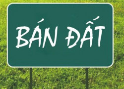 BÁN LÔ ĐẤT VÀNG 77,5 m² GIÁ RẺ TẠI NGÕ 242 VẠN PHÚC – HÀ ĐÔNG