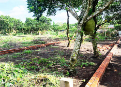 121m2 NGAY DỐC ĐỒN, P BẢO VINH, LONG KHÁNH, ĐN. GIÁ CHỈ 890Tr