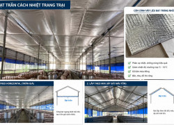 Bạt cách nhiệt trang trại - giải pháp làm mát hiệu quả