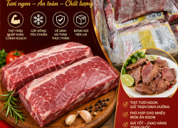 Giá nạm trâu M11 hôm nay bao nhiêu 1kg?