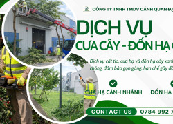 Dịch vụ cắt cỏ – cưa cây – vệ sinh cảnh quan KCN Mỹ Xuân, Bà Rịa – Vũng Tàu