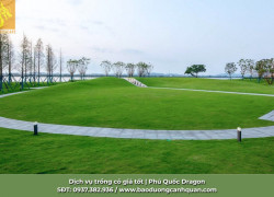 Thiết Kế Sân Vườn Biệt Thự Tại Đồng Nai, TP.HCM