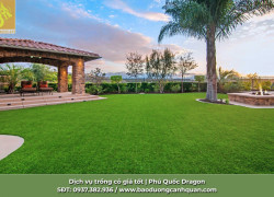 Dịch Vụ Trồng Cỏ Sân Vườn Đẹp Đồng Nai, TP.HCM