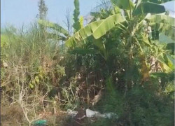 Chỉ 10 triệu/ m2, Sở Hữu Ngay Đất Thổ Cư Sổ Hồng Riêng 96m2 Đường Nhựa, KDC đường 853, Tân Phú Đông, TP Sa Đéc.