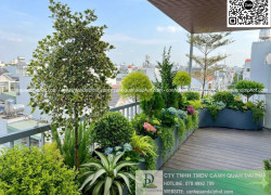 Thi công chậu Composite sân vườn giá rẻ tại TP.HCM trọn gói cây cảnh