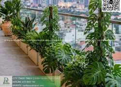 Thiết Kế Thi Công Cảnh Quan Sân Vườn Chậu Composite Theo Yêu Cầu Tại Bà Rịa – Vũng Tàu