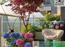 Thiết Kế Thi Công Bảo Dưỡng Cảnh Quan Doanh Nghiệp Tại Đồng Nai