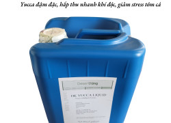 DK YUCCA LIQUID Yucca đậm đặc hấp thu nhanh khí độc, giảm stress cho tôm cá