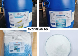 Enzyme Ấn Độ - ROSSARI BIOTECH LIMITED