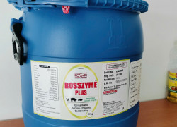 MEN TIÊU HÓA ROSSZYME PLUS Sản phẩm đa chức năng hỗ trợ tiêu hóa cho tôm cá vật nuôi