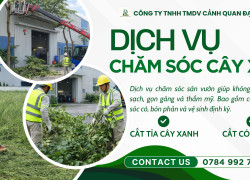 BẢO DƯỠNG CẢNH QUAN NHÀ MÁY – DOANH NGHIỆP THỦ ĐỨC | CHUYÊN NGHIỆP – ĐỊNH KỲ – TIẾT KIỆM