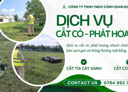 Dịch Vụ Cắt Cỏ Khu Công Nghệ Cao Quận 9 – Thủ Đức Nhanh Gọn, Giá Tốt