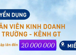 CTY CÔNG NGHỆ SIÊU TƯỞNG cần sales thị trường ở HCM & tỉnh lân cận