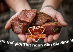 Tuyển gấp tài xế ô tô chạy xe Van làm tại khu vực nội thành HCM