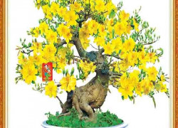 Tranh gạch 3d tranh cây mai - CXV63