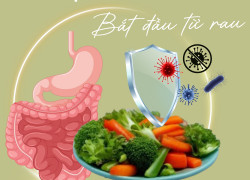 Xây dựng giá trị thực sự của thực phẩm hữu cơ - G.Organic