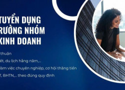 Tuyển trưởng nhóm tư vấn giải pháp qua ĐT làm tại Bình Thạnh