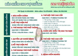 Bảo hiểm Dai-ichi Life cho vợ chồng là gì? Quyền lợi chi tiết