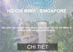 Giá Cước Vận Chuyển Hàng Hóa Từ Hồ Chí Minh Đến Singapore