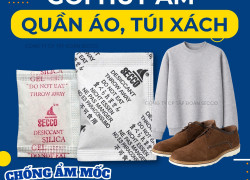 Túi Chống Ẩm Chuyên Dụng Cho Quần Áo: Đáp Ứng Mọi Tiêu Chuẩn Xuất Khẩu